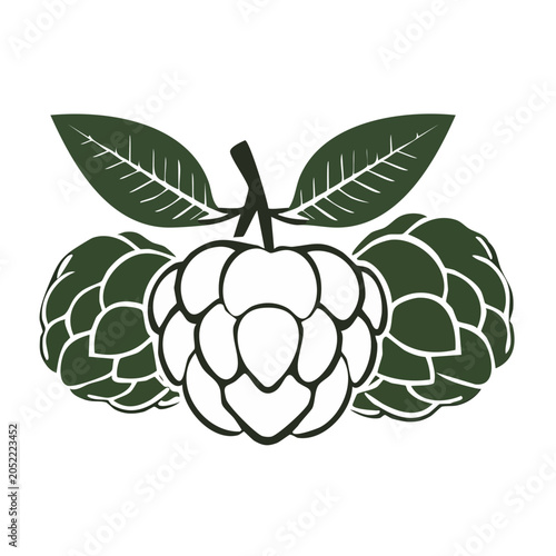 Hops plant with leaves line art illustration
