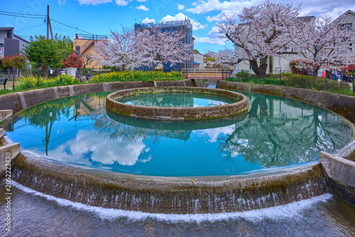 Foto 春の神奈川県川崎市の久地円筒分水(根方ぼり)から東側を見る