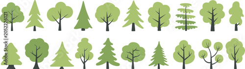 Vászonkép Green forest tree assortment icons, deciduous and coniferous pine wood collectio