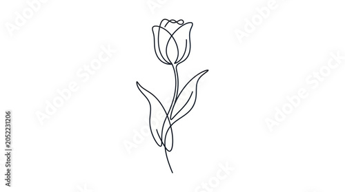 Single Line Drawing Tulip Flower, Minimalist Botanical Art, Elegant Floral Design