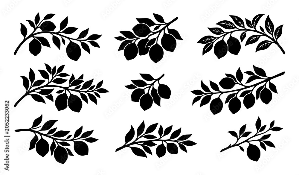 Obraz premium Botanical Leaf Branch Silhouette Collection Nature Vector Design Set