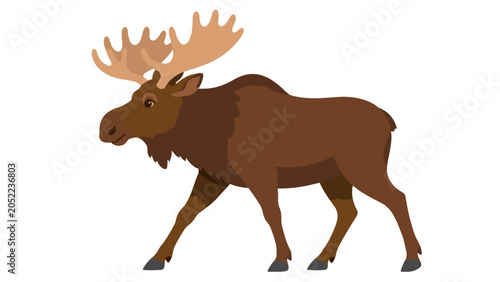 Canvastavla Brown moose with large antlers walking side view illustration