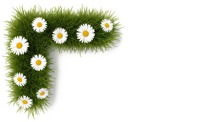 Lush green grass frame corner decorated with beautiful white daisy flowers isolated on a clean white background area