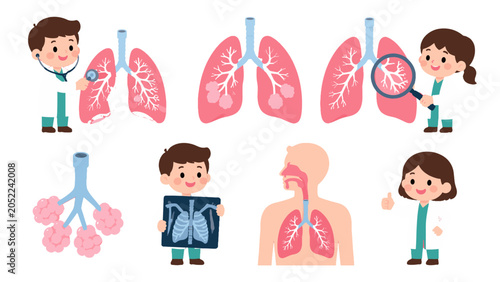 Bild auf Leinwand Cute doctor characters with lungs and respiratory anatomy set