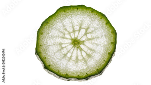 Quadro em tela Translucent green lime slice with detailed segments and rind