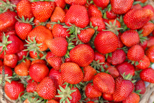 Quadro em tela Background of fresh ripe red strawberries close up
