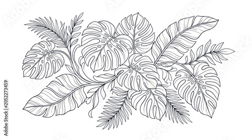 Tableau sur toile tropical leaves illustration