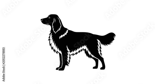 Foto Black silhouette of a long-haired dog standing sideways with tail raised