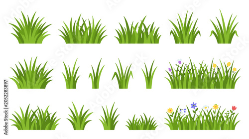 Obraz na płótnie Set of green grass tufts and floral meadow vector elements