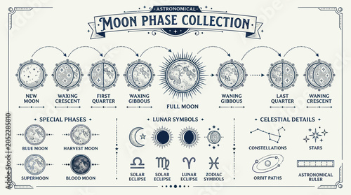 Foto Astronomical Moon Phase Collection Infographic