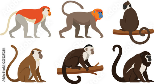 Foto Wild monkey character vector illustration set featuring various primate species