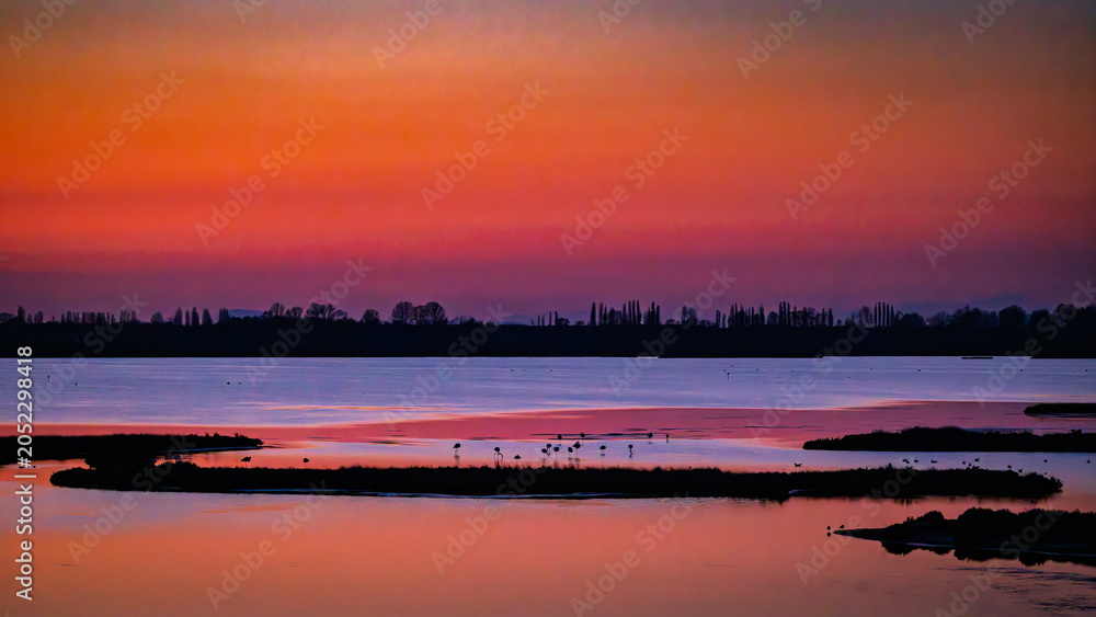Fototapeta premium Flamingos in der Abenddämmerung – Magisches Abendrot über der Lagune