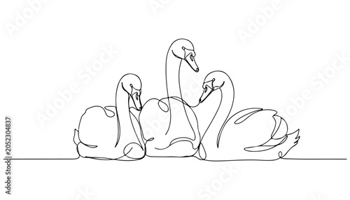 Foto Continuous Simple black line art drawing set of swan bird in a minimalist style on a white background