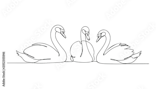 Fotografie Continuous Simple black line art drawing set of swan bird in a minimalist style on a white background