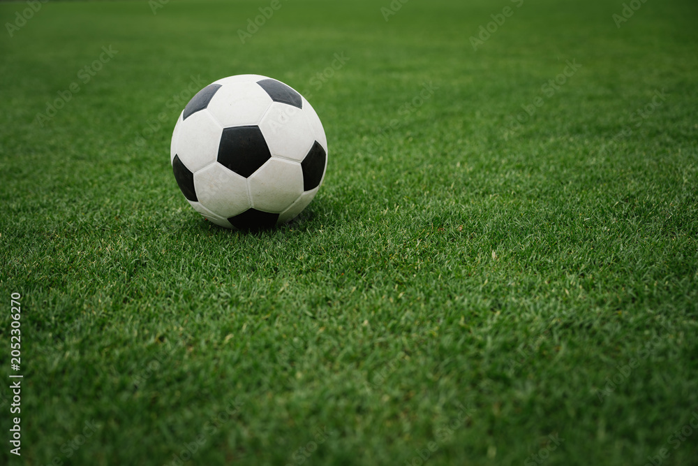 Fototapeta premium A soccer ball rests on a lush green field, symbolizing football competition, teamwork, athletic performance, sportsmanship, and the simplicity of the beautiful game.