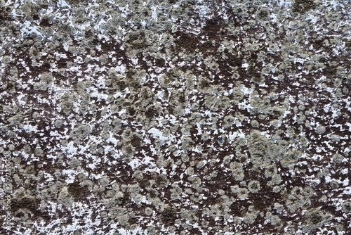 Corse Texture Wall Background Grey Fiber