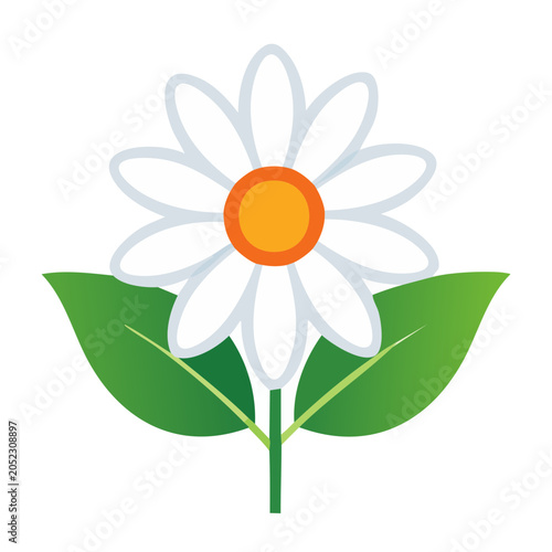 Flat illustration of a white daisy flower with green leaves