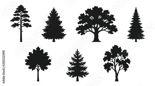 Photos Diverse Collection of Tree Silhouettes Coniferous and Deciduous Forest Elements