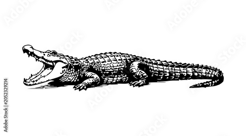 Simple hand drawn crocodile animal sketch, engraved wildlife alligator reptile illustration clip art