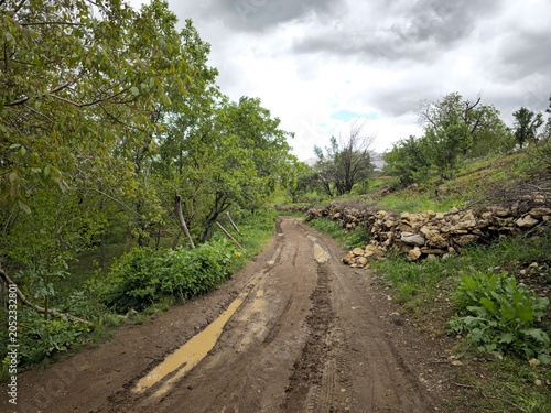 Foto A muddy, waterlogged dirt road winding through lush green spring forest with a s
