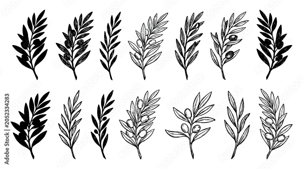 Fototapeta premium Set of black leafy branches and olive twig vector illustrations