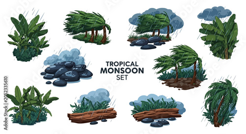 Schilderij op canvas A graphic collection of tropical plants rocks and logs depicted under rainy stor