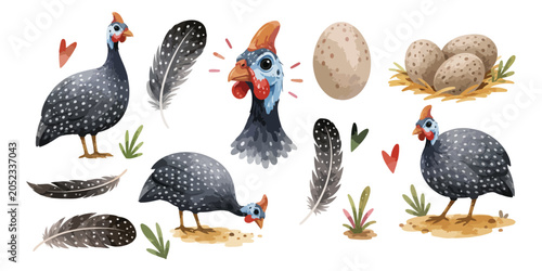 Photos Watercolor Helmeted Guinea Fowl Bird Clipart