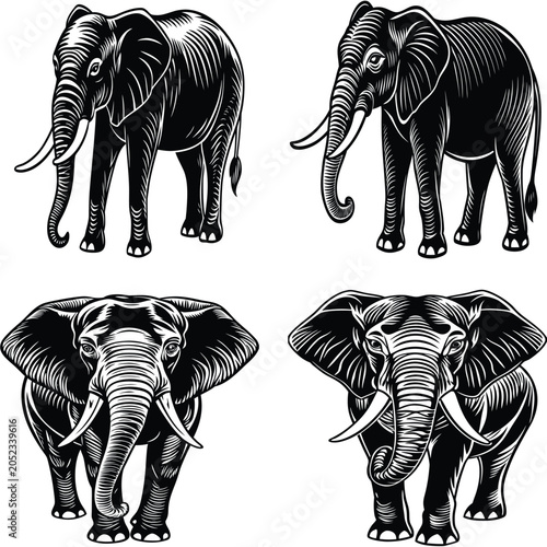 elephant silhouettes