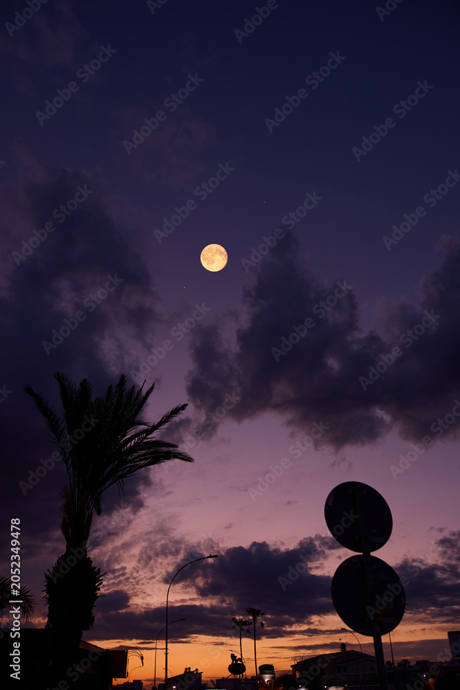Obraz premium Full Moon with urban silhouettes.