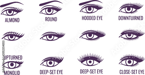 Different eye shapes illustration almond round hooded downturned upturned monolid deep set close set for makeup artists.