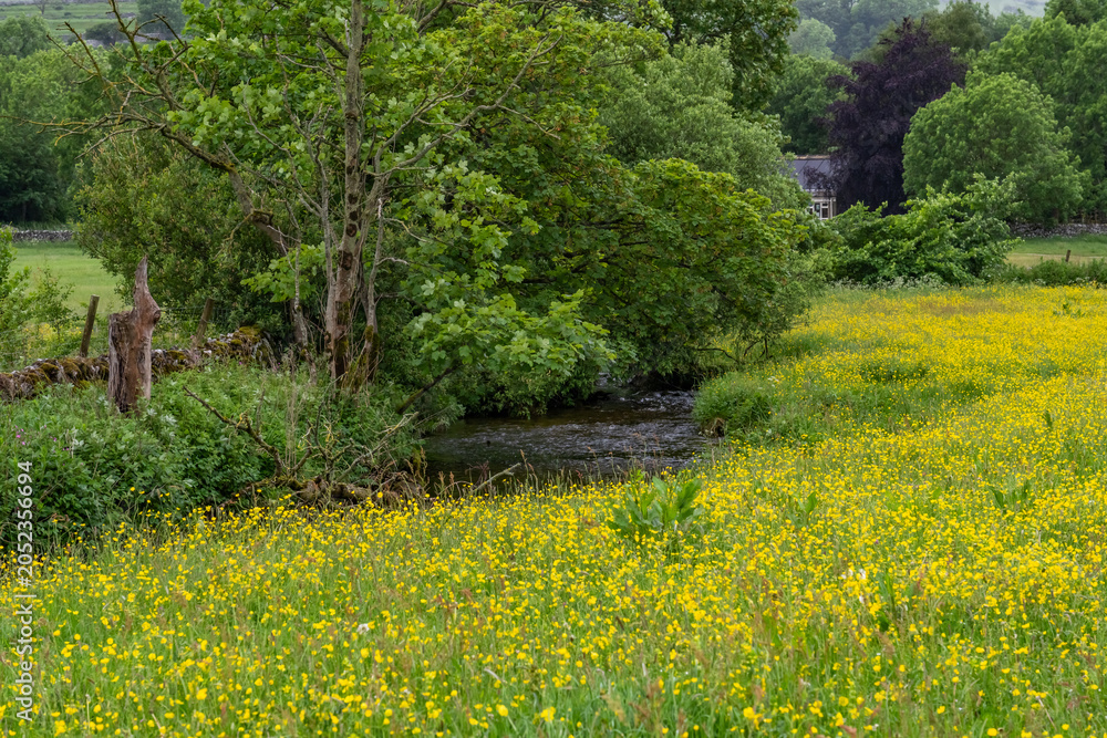 Obraz premium Views around the beautiful Yorkshire Dales
