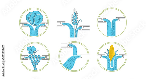 Infographic illustrations of plant growth stages.