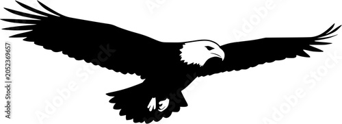 Bald eagle flying with wings spread silhouette