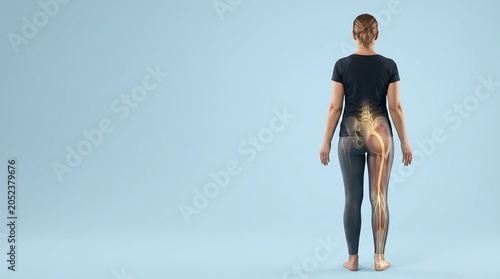 3D medical illustration of a woman from behind showing highlighted sciatic nerve and pelvic bone structure