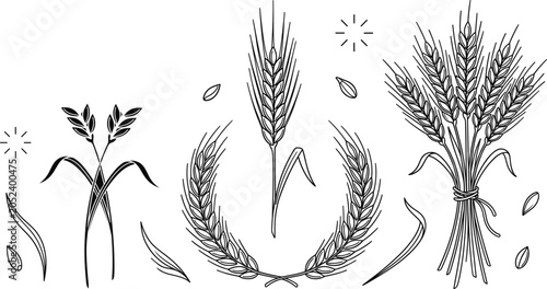 Canvastavla Wheat ear agriculture harvest vector bundle featuring minimalist black line art