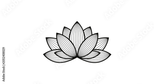 Elegant Lotus Flower Illustration with Detailed Petal Lines on White.