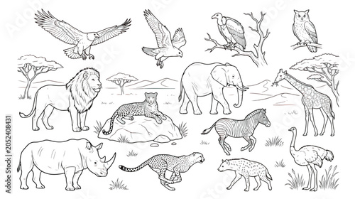 Photography African safari animals coloring page vector, wild savanna wildlife line art coll