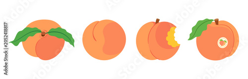Peach fruit set. Four whole fresh peach fruits with green leaves and bitten peach. Hand drawn flat style isolated. For stickers, menus, posters, food packaging, recipe blogs, organic grocery branding.