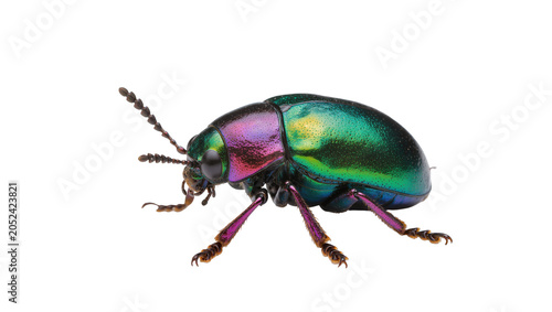 Foto Iridescent green and purple beetle with segmented legs and antennae