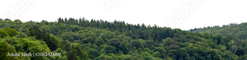 Dense green forest on rolling hills tree line panorama landscape isolated on white background