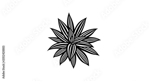 Striking Black and White Agave Plant Illustration.