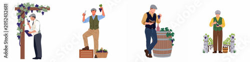 Quadro su tela Vector illustration set featuring a male winemaker harvesting, inspecting grapes, and managing wine production in various vineyard settings