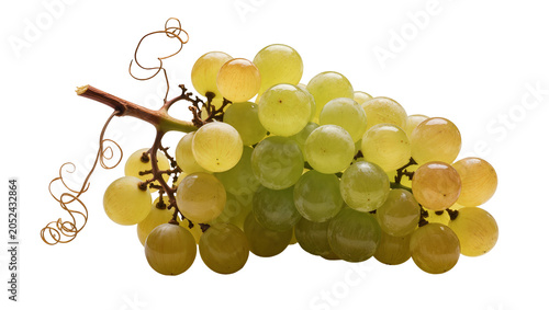 Photos Green and yellow grapes cluster with tendrils