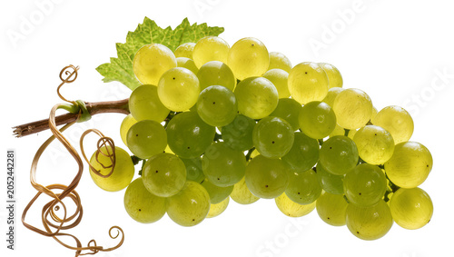 Obraz na plátně Green grapes bunch with vine and leaf