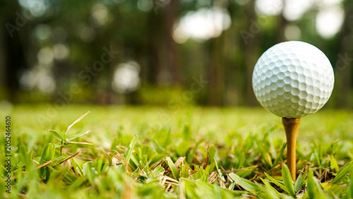 Golf ball on green grass in the evening golf course with sunshine background.