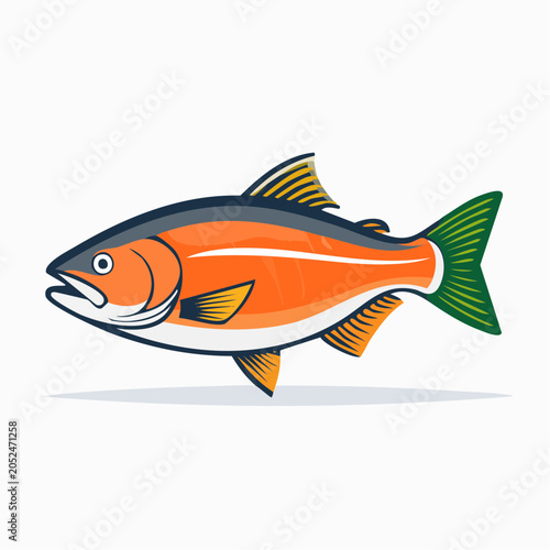 Stylized illustration of a salmon fish