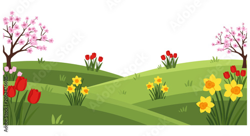 Spring meadow landscape with blooming tulips and daffodils vector illustration daffodils landscape blooming illustration botanical