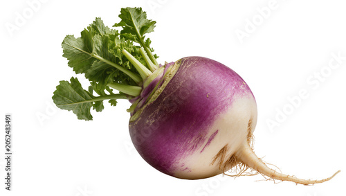 Konstfotografi Purple and white turnip root vegetable with green leaves