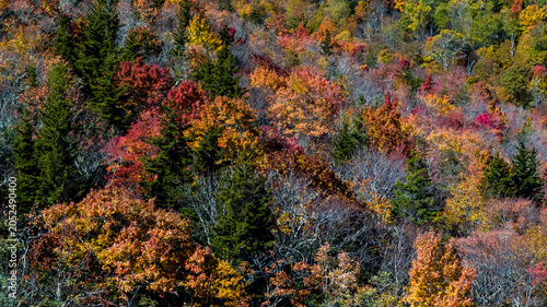 Bilde på lerret Aerial View Of The Changing Of The Leaves In The North Carolina Mountains