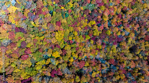 Foto Aerial View Of The Changing Of The Leaves In The North Carolina Mountains